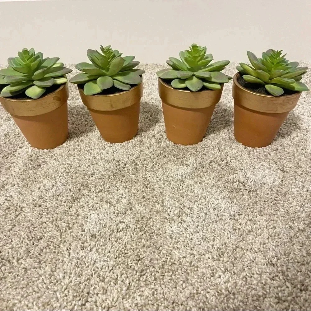 Set of 3 terracotta faux succulents new